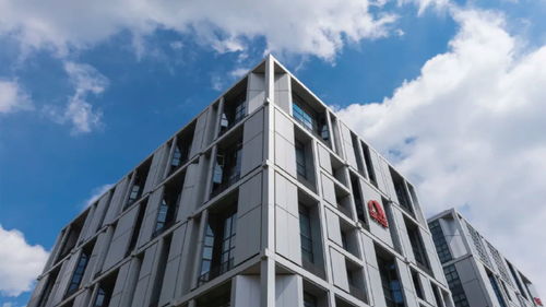 東方雨虹再度躋身2024全球建筑材料上市公司綜合實力排行榜，技術(shù)服務成核心競爭力