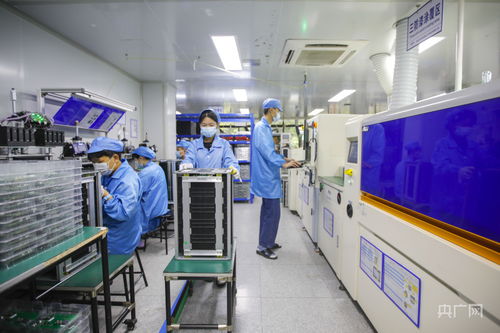 福州新能源產業加速技術研發，構建綠色經濟新引擎